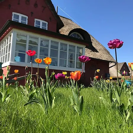 Hues Sanskiin *aawerkant* *