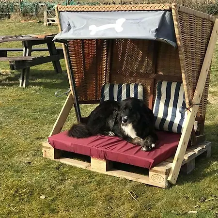 Hues Sanskiin *aawerkant* * Suddorf