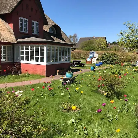 Hues Sanskiin *aawerkant* *