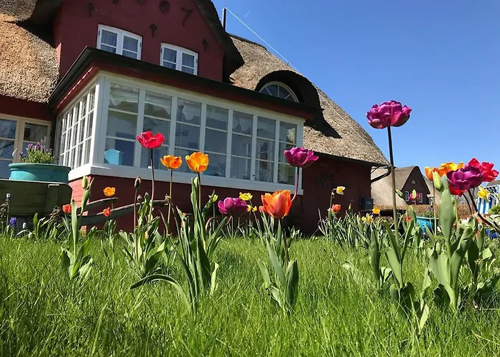 Hues Sanskiin *aawerkant* *